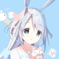 迷你兔