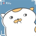 主播和猫的故事TapTap测试版