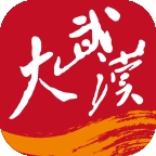 大武汉客户端