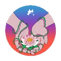 犹记繁花