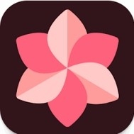 WallSpot壁纸app