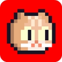 回家的猫