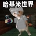 小猫冒险求生