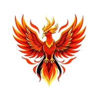 火焰鸟V2直装辅助APP