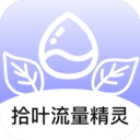 拾叶流量精灵