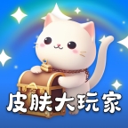 皮肤大玩家软件