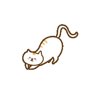 缘梦影视
