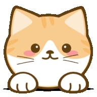 橘猫4K