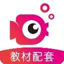 鲤鱼辅导app
