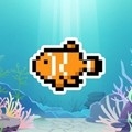 迷你水族馆