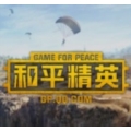 和平精英美化包2025最新版