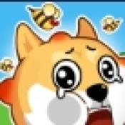 救了个狗