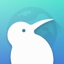 Kiwi浏览器手机版