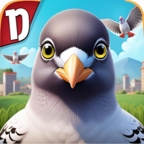 pigeonpop疯狂的鸽子