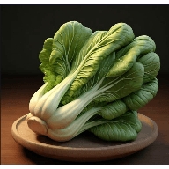 老谭酸菜电视直播TV