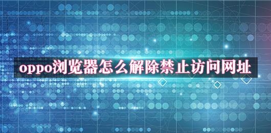 oppo浏览器怎么解除禁止访问网址