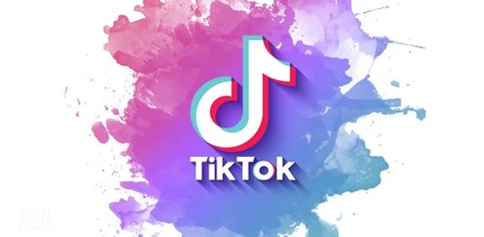 TikTok所有版本