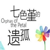 七色堇的遗孤