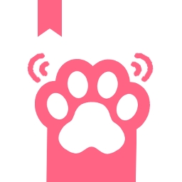猫爪小说