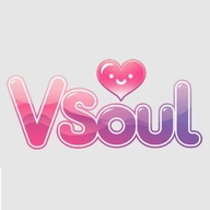 vsoul中文正版